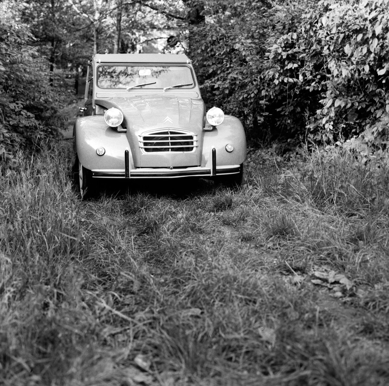 Egy család Citroen 2CV-vel utazik, Monza alkotó: Bartolome Esteban and studio Murillo