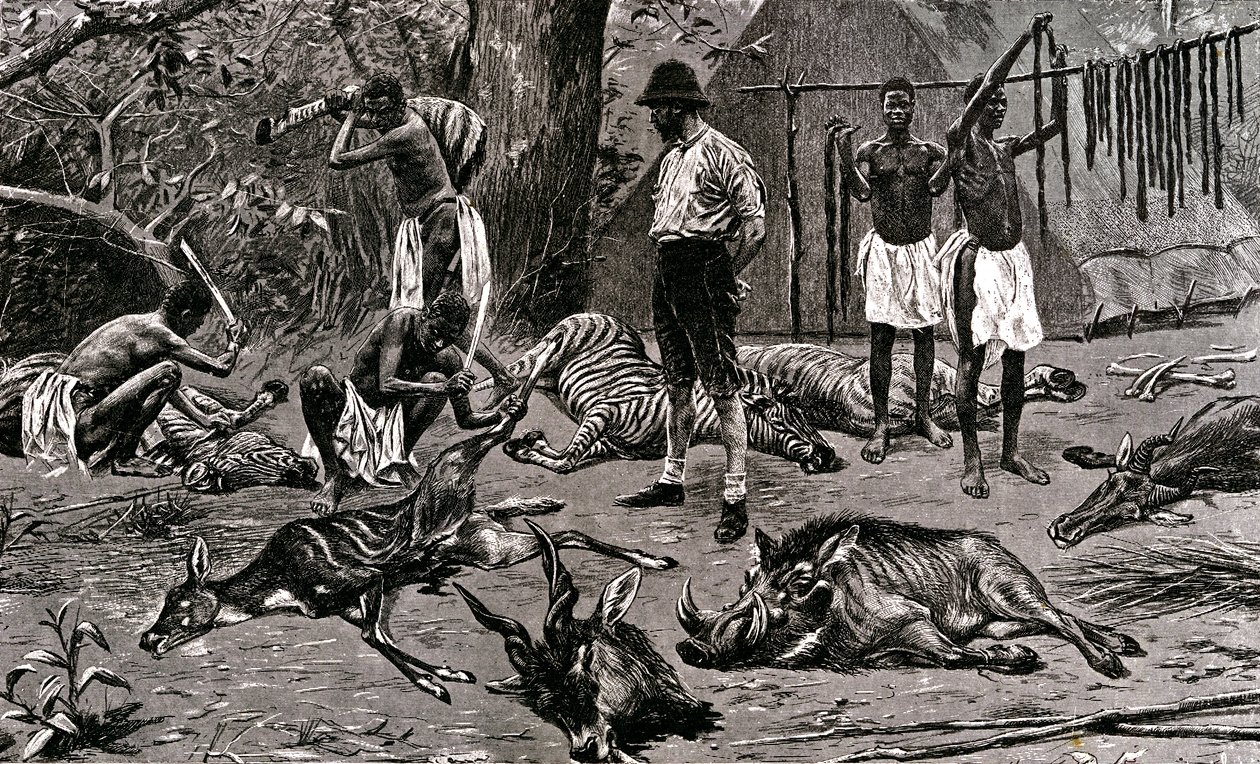 Egy nagyszerű vadászati nap! 1900 (metszet) alkotó: Unbekannter Künstler