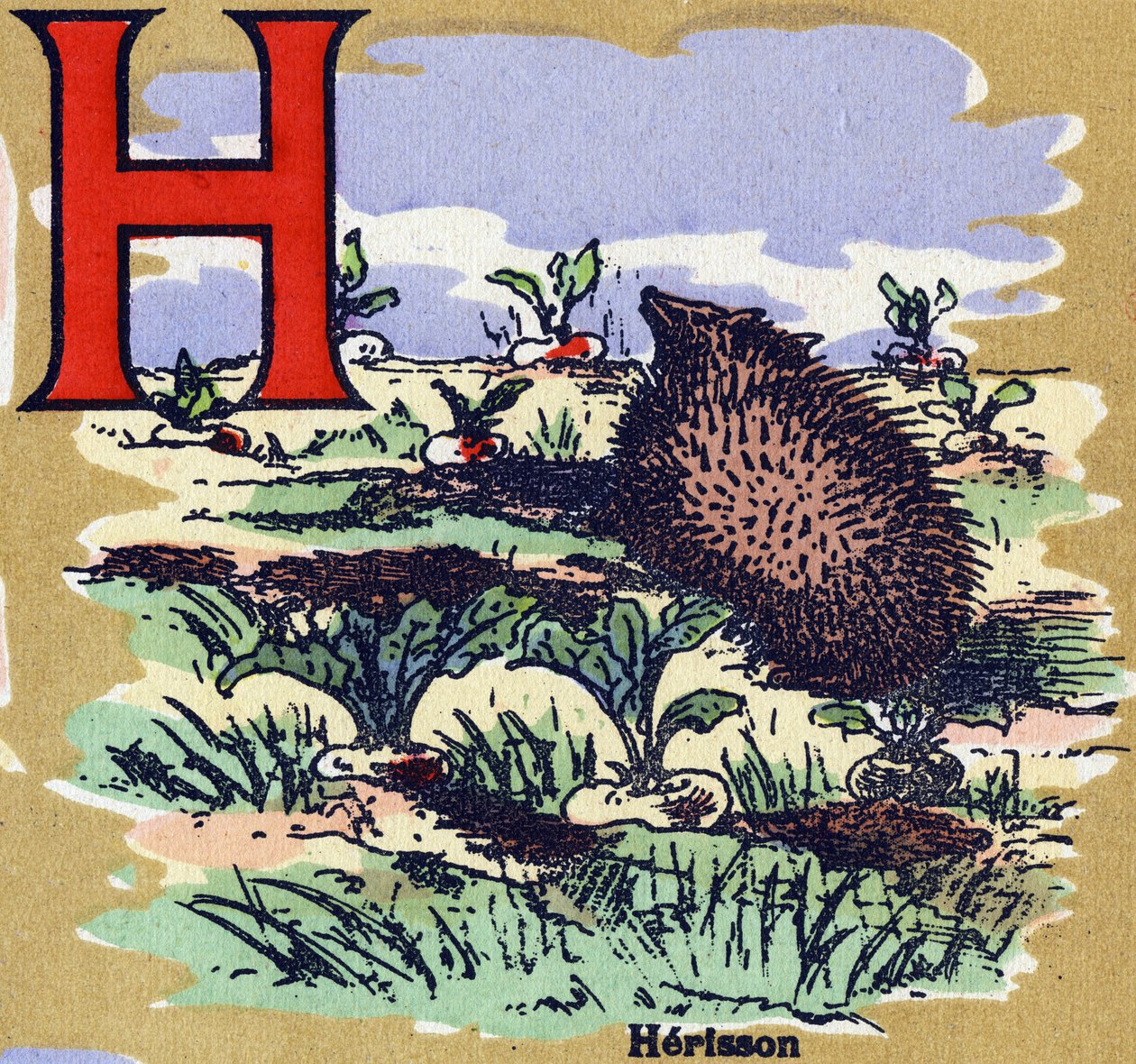 Egy herisson. Illusztrált ábécé. A képek a 20. század elején Jarville-Nancyben újra egyesültek. Mérete: 40x29 cm. Litográfia bisztre alapon alkotó: Unbekannt