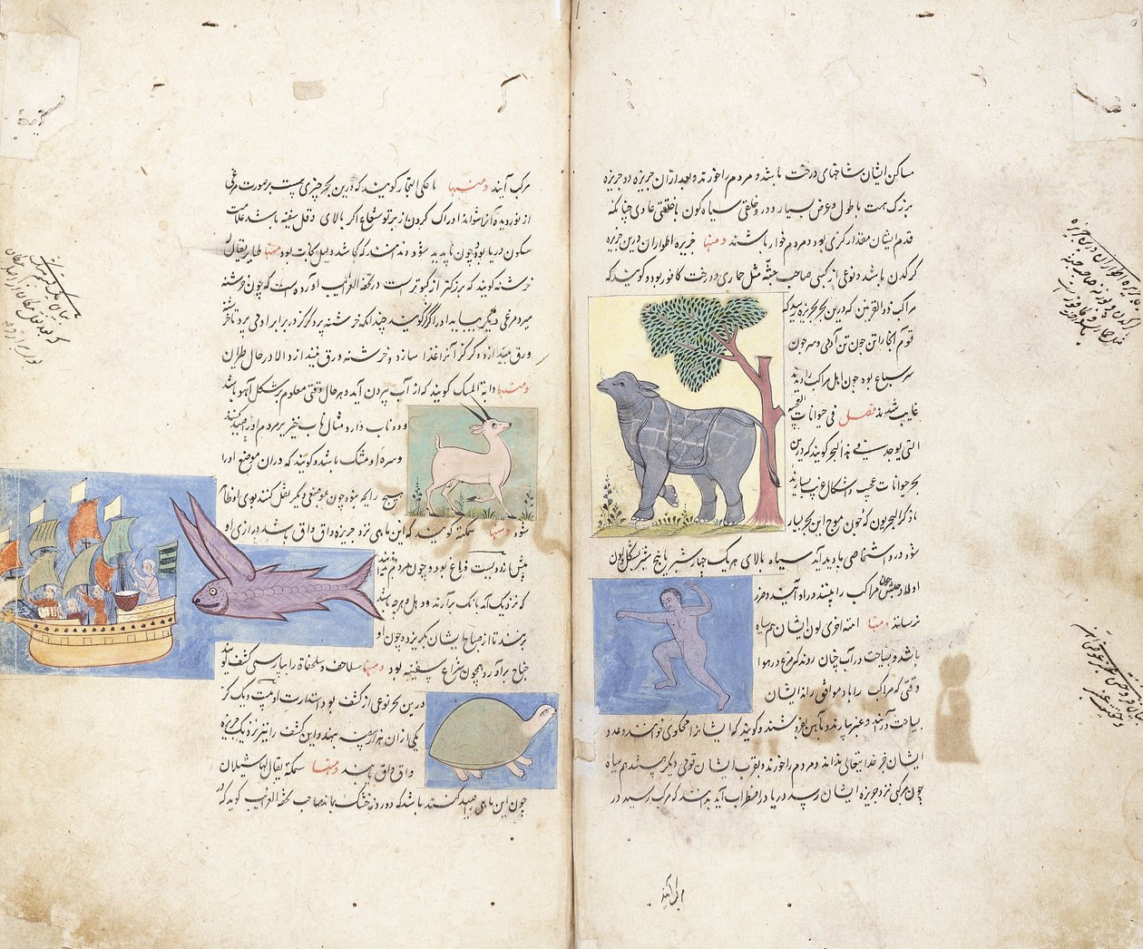 Egy oldal az "Aja"ib al-Makhluqat wa Ghara"ib al-Maujudat perzsa kéziratból alkotó: Unbekannt