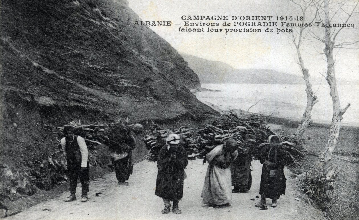 Albánia: Cigány nők faköteget viselő hátukon - Képeslap 1914-1918 alkotó: William M. Timlin