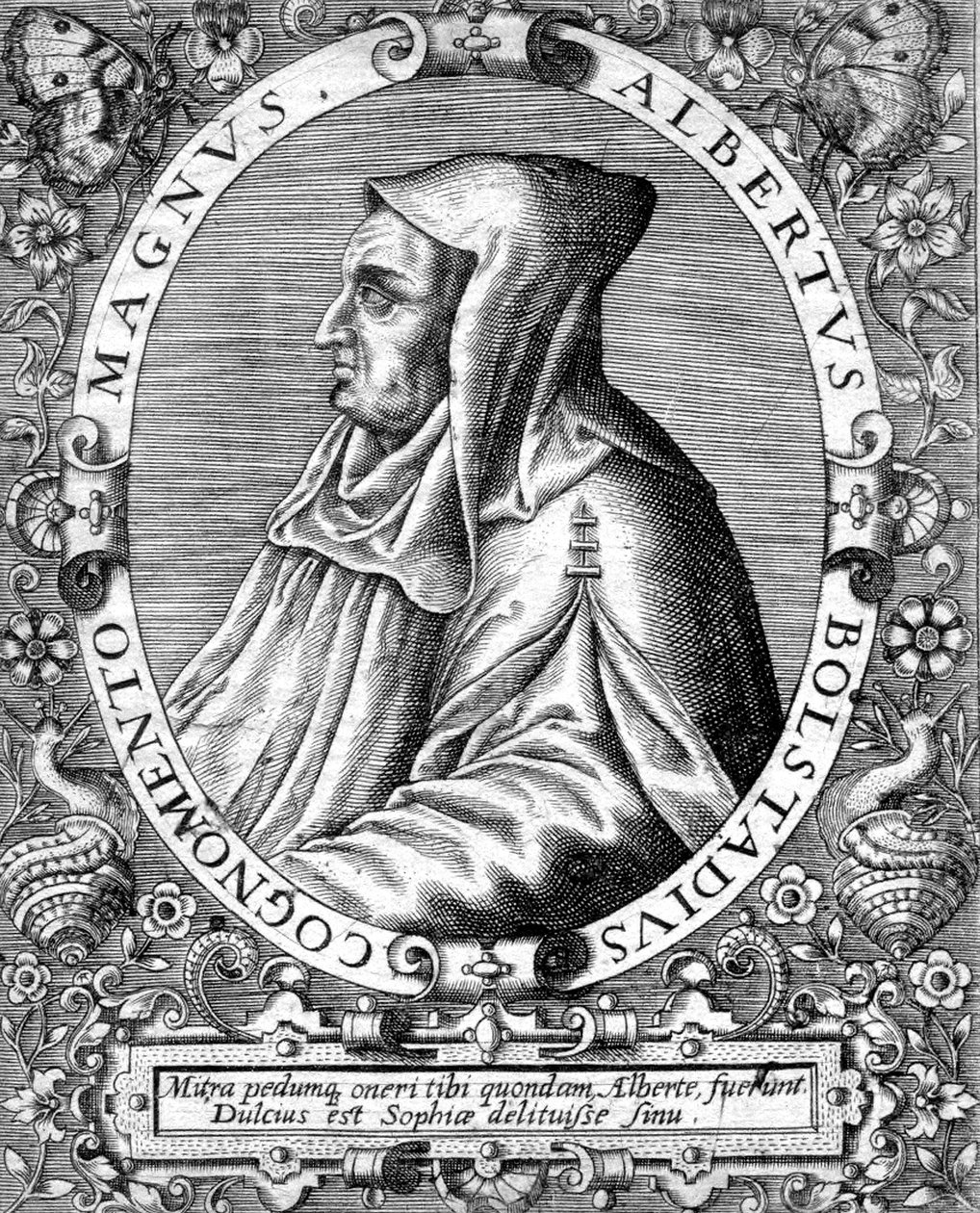 Albert Magnus (1193/1206-1280) német domonkos szerzetes, tudós, filozófus és teológus, metszet. alkotó: Unbekannter Künstler