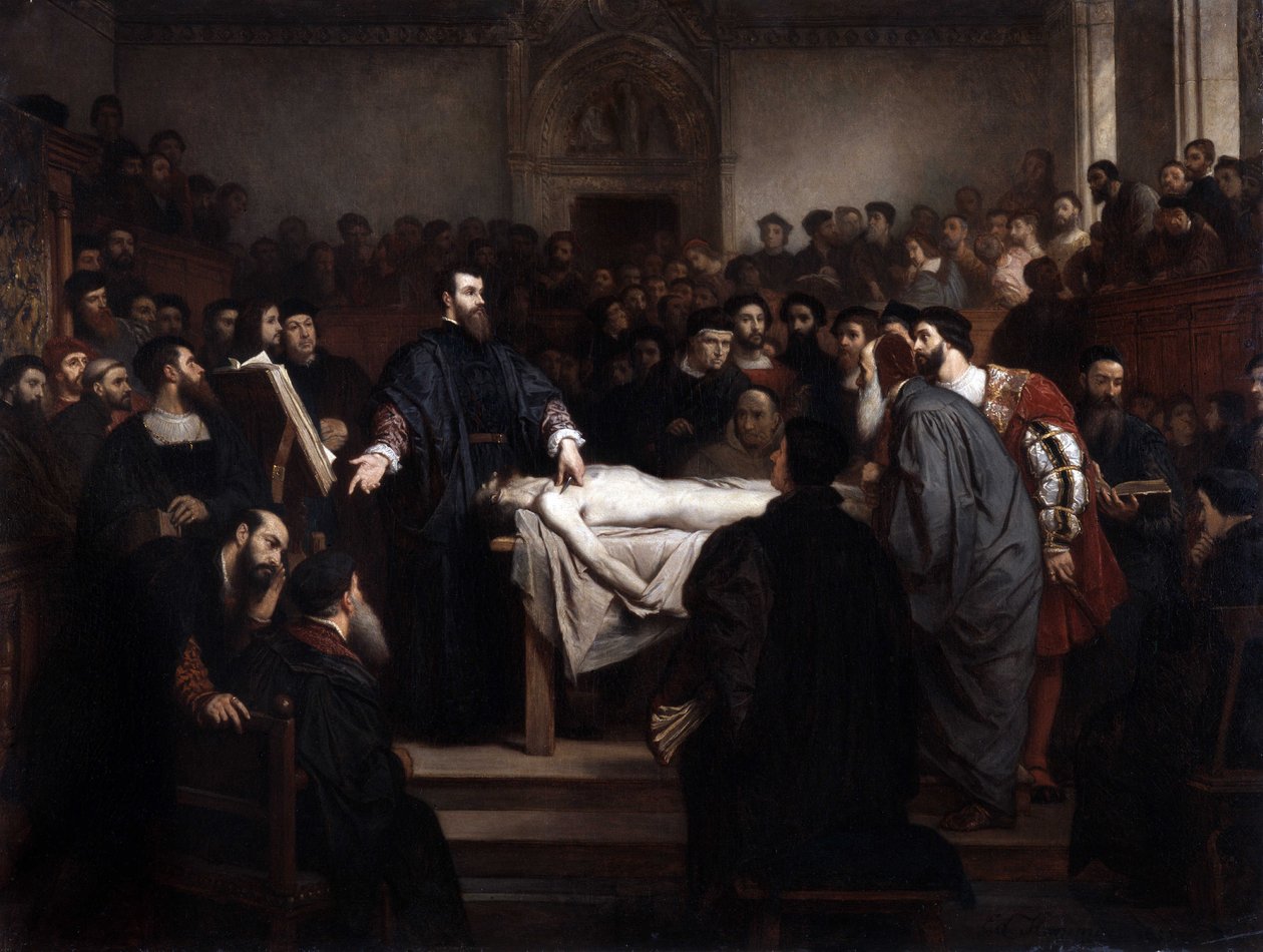 Anatómia lecon. Andre Vesale (1514-1564), flamand anatómus (Andrea Vesalius vagy Andries Van Wesel) Padovában (Padova), Olaszországban. alkotó: Unbekannter Künstler