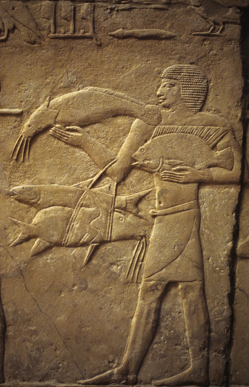 Ókori Egyiptom: Saqqarah (vagy Saqqara vagy Sakkarah): a Régi Birodalom nekropolisza, nemesek sírja. Egy halászt ábrázoló domborművek részlete. alkotó: Leopold Blonder