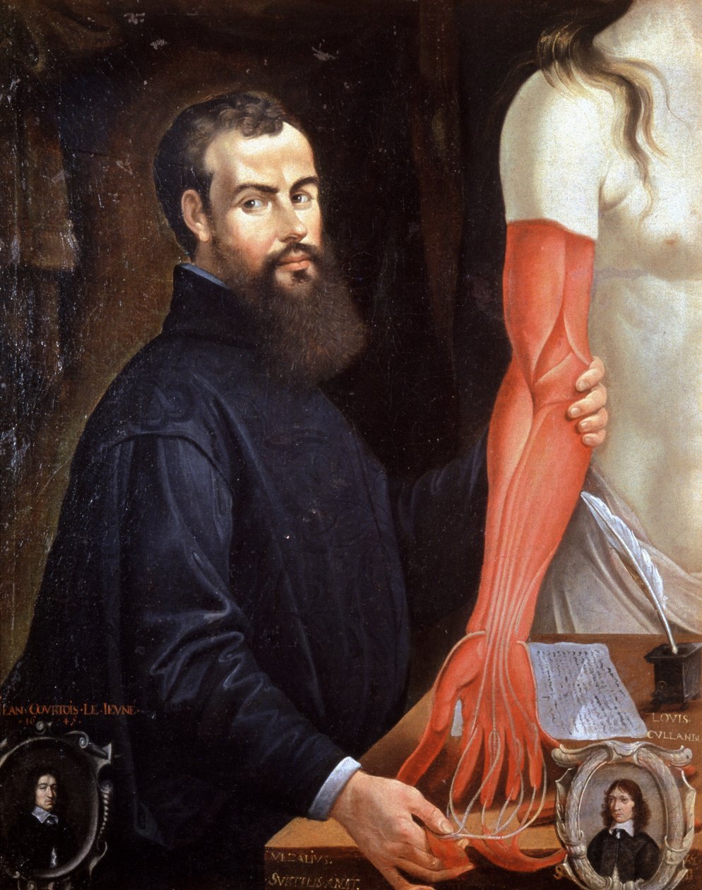 Andre Vesale (1514-1564) flamand orvos, a modern anatómia atyja, Pierre Poncet festménye. alkotó: Unbekannter Künstler