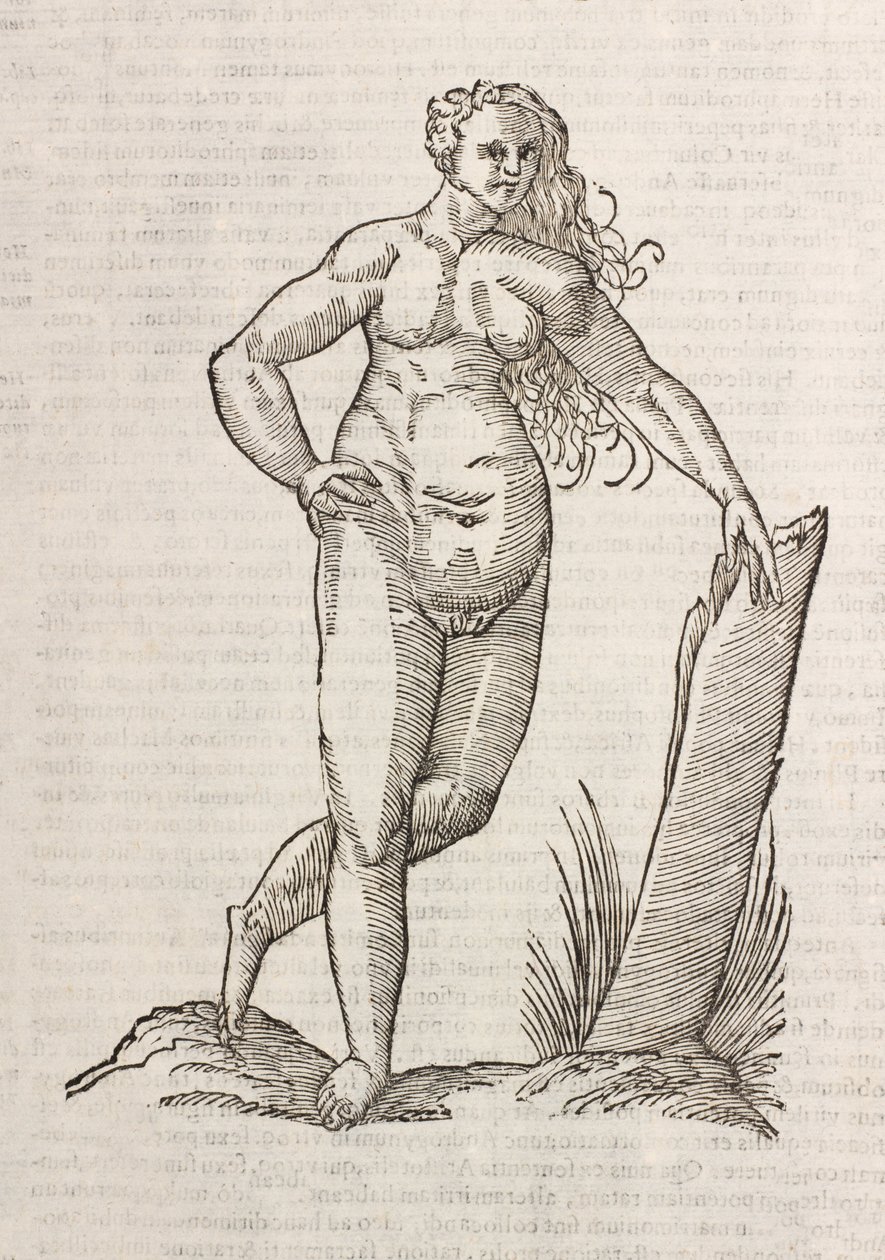 Androgynos alkotó: Unbekannt