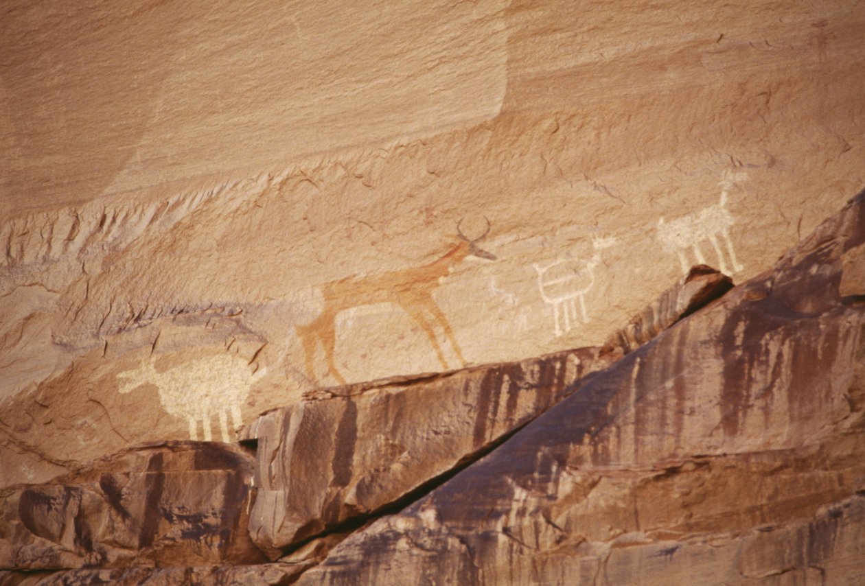 Állatfigurák, navajo művészek sziklafestményei, Canyon de Chelly Nemzeti Emlékmű, Navajo Indian Reservation, Arizona, USA alkotó: Benjamin Baud