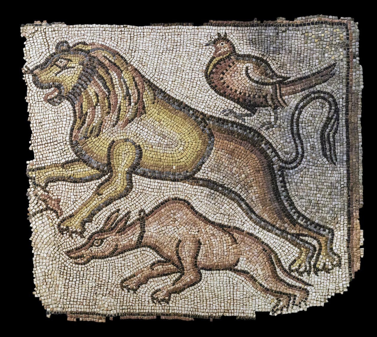 Állatok. Kelet-mediterrán, 5.-6. század vége. Márvány és mészkő kockák. Musee du Louvre alkotó: William M. Timlin