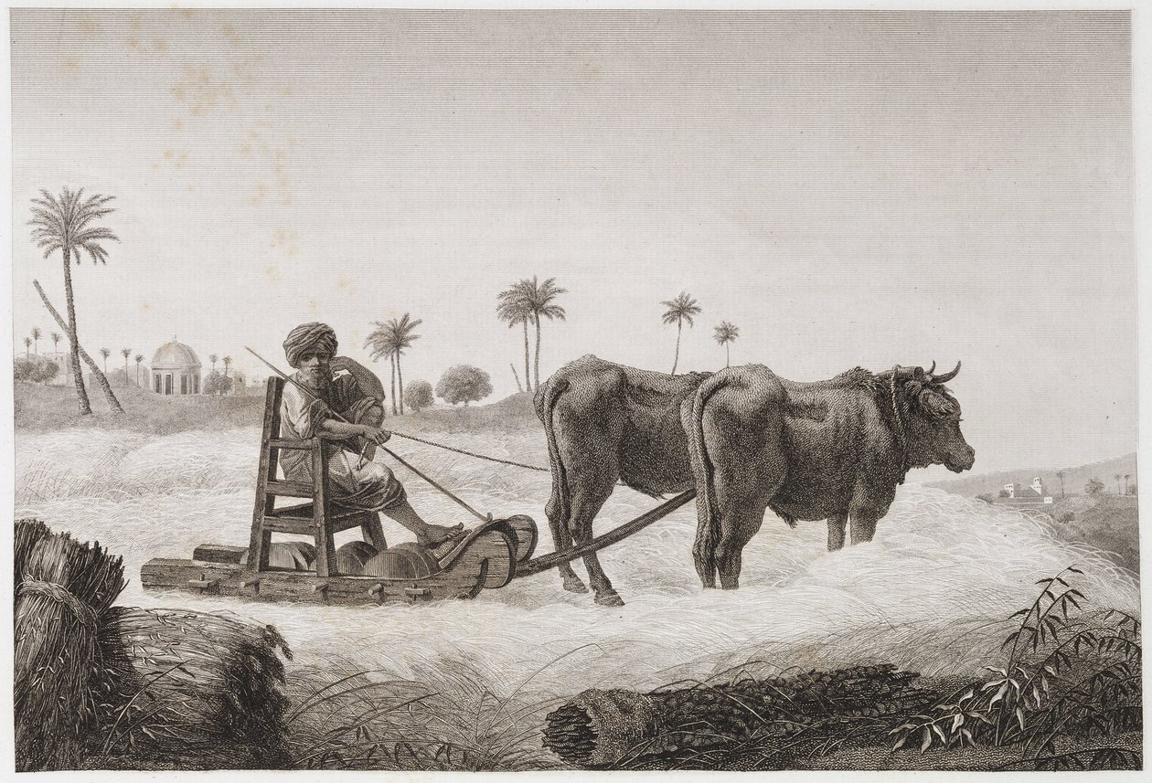 Szántóföldi gazdálkodás, betakarítás Cséplőgép, Egyiptom, 1798 alkotó: Unbekannt
