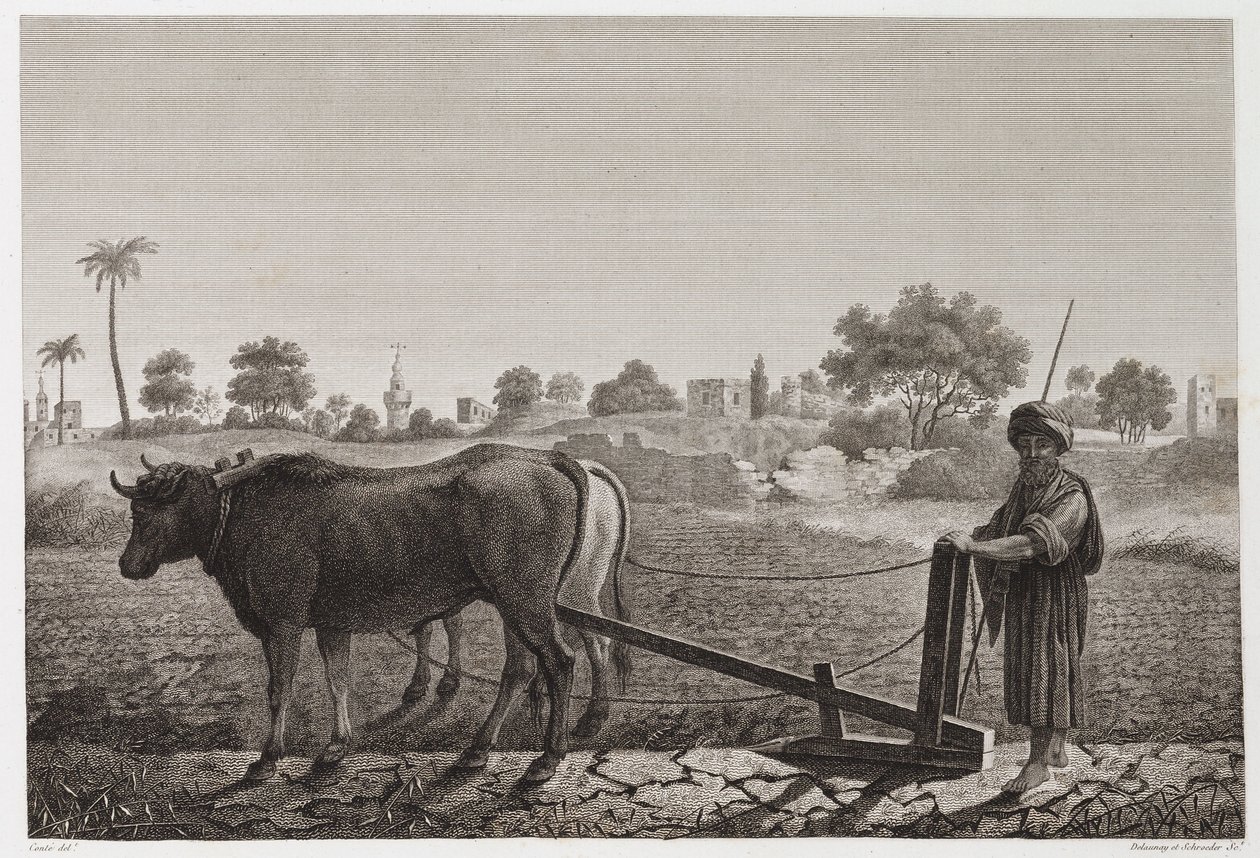 Szántóföldi gazdálkodás, szántás Szántás ökrökkel, Egyiptom, 1798 alkotó: Unbekannt