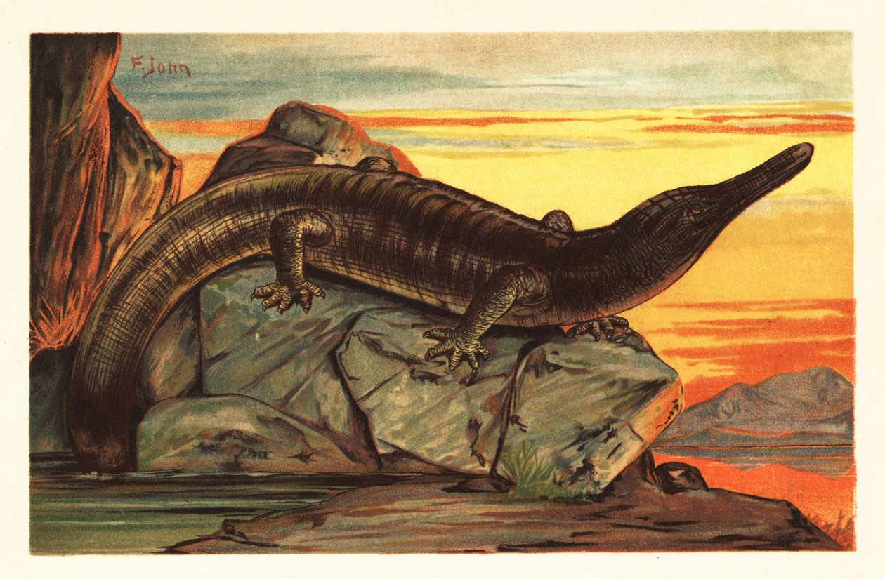 Archegosaurus decheni egy sziklán sütkérez.1908 (litográfia) alkotó: Unbekannter Künstler