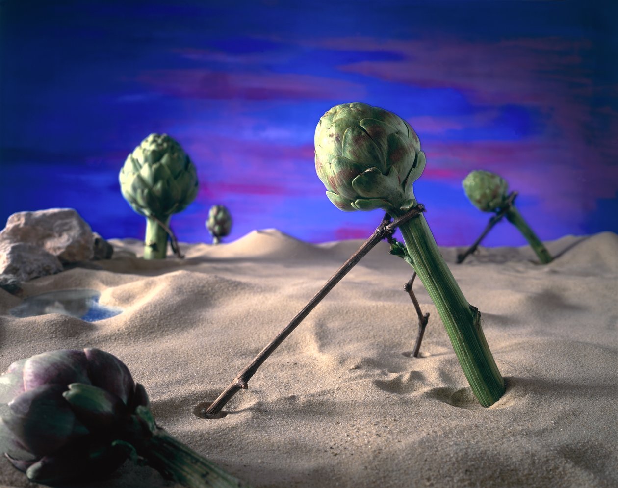 Art-ichoke (Dali) 1996 (fotó) alkotó: Unbekannter Künstler