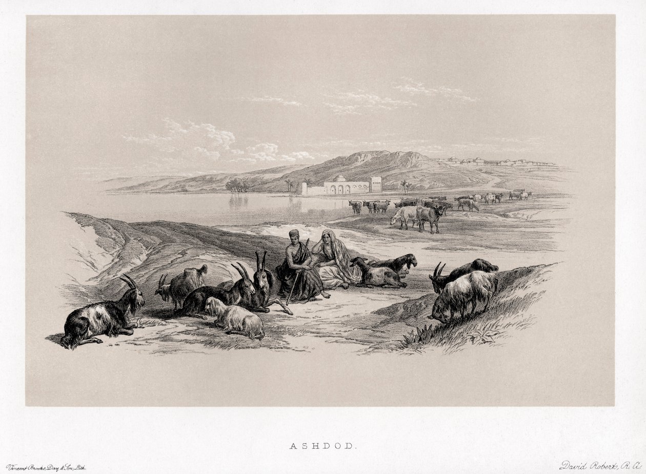 Ashdod By David alkotó: Unbekannter Künstler