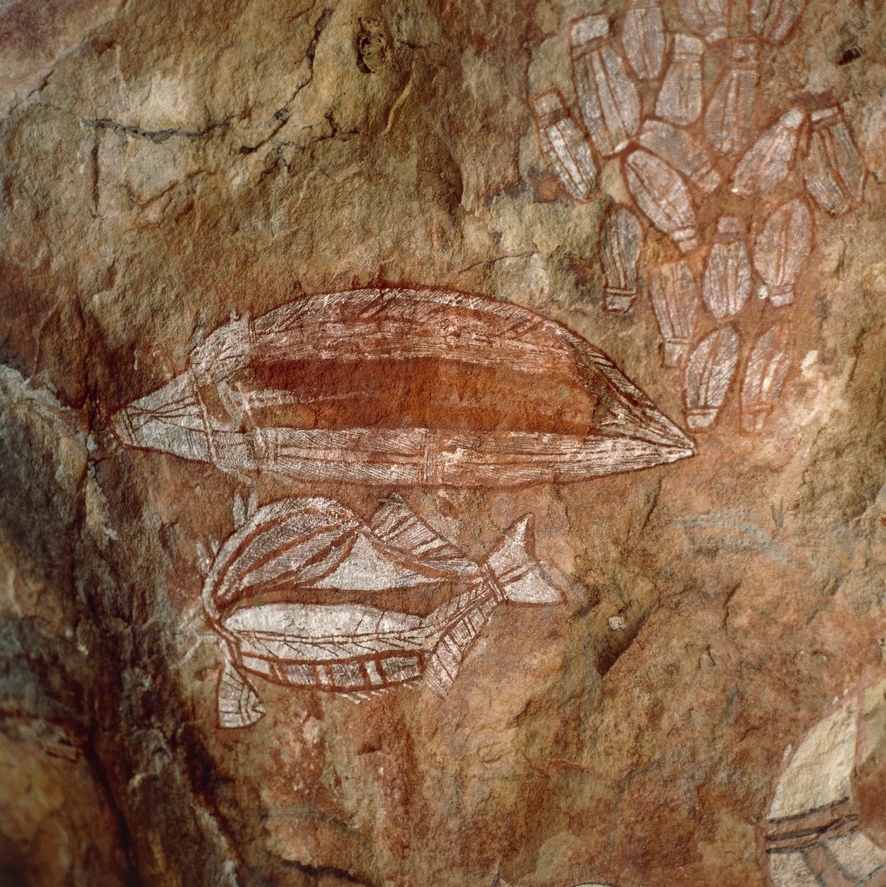 Ausztrália, Northern Territory, Arnhem Land, Kakadu Nemzeti Park, Nourlangie Rock, Aboriginal sziklafestmények alkotó: Benjamin Baud