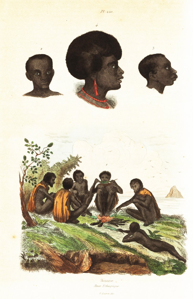 Ausztrál bennszülöttek és Waigeo őslakosainak fejei, Nyugat-Pápua 1834-1839 (metszet) alkotó: Unbekannter Künstler