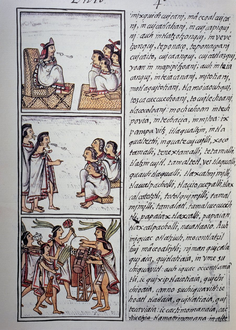 Azték társadalom, Firenzei kódex IV. könyve, Kétnyelvű változat spanyol és nahuatl nyelven, Az új Spanyolország dolgainak általános története, azték civilizáció alkotó: Benjamin Baud