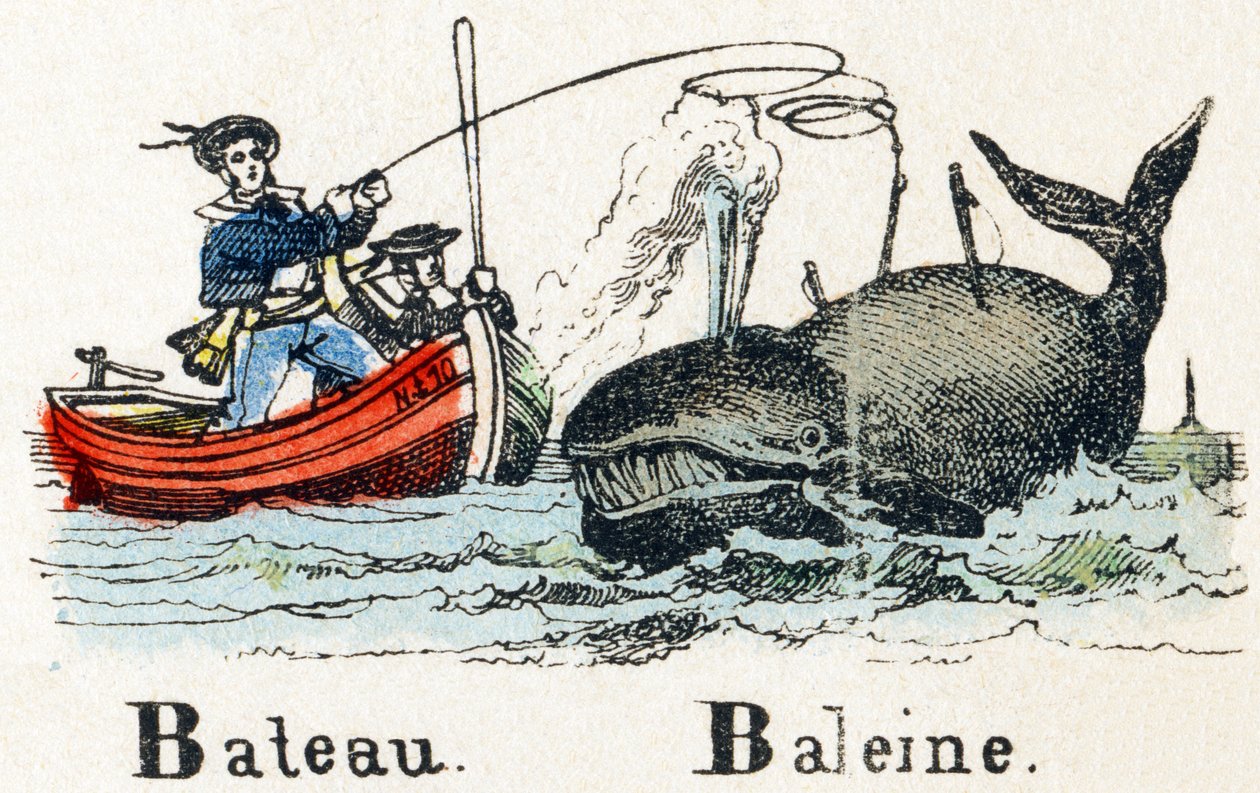 B – Bálnacsónak – Ábécé – gyerekszórakozás – Kép epinal, népszerű sorozat 1890 körül (illusztráció) alkotó: Unbekannt