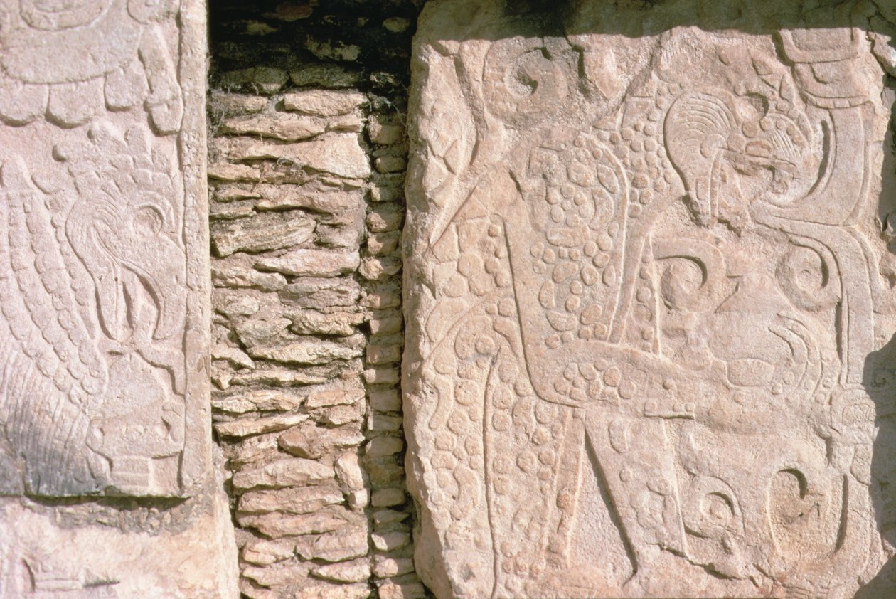 Bas relief, amely jaguárokat ábrázol, akik emberi szíveket tépnek ki áldozati áldozatokból (kő) alkotó: William M. Timlin