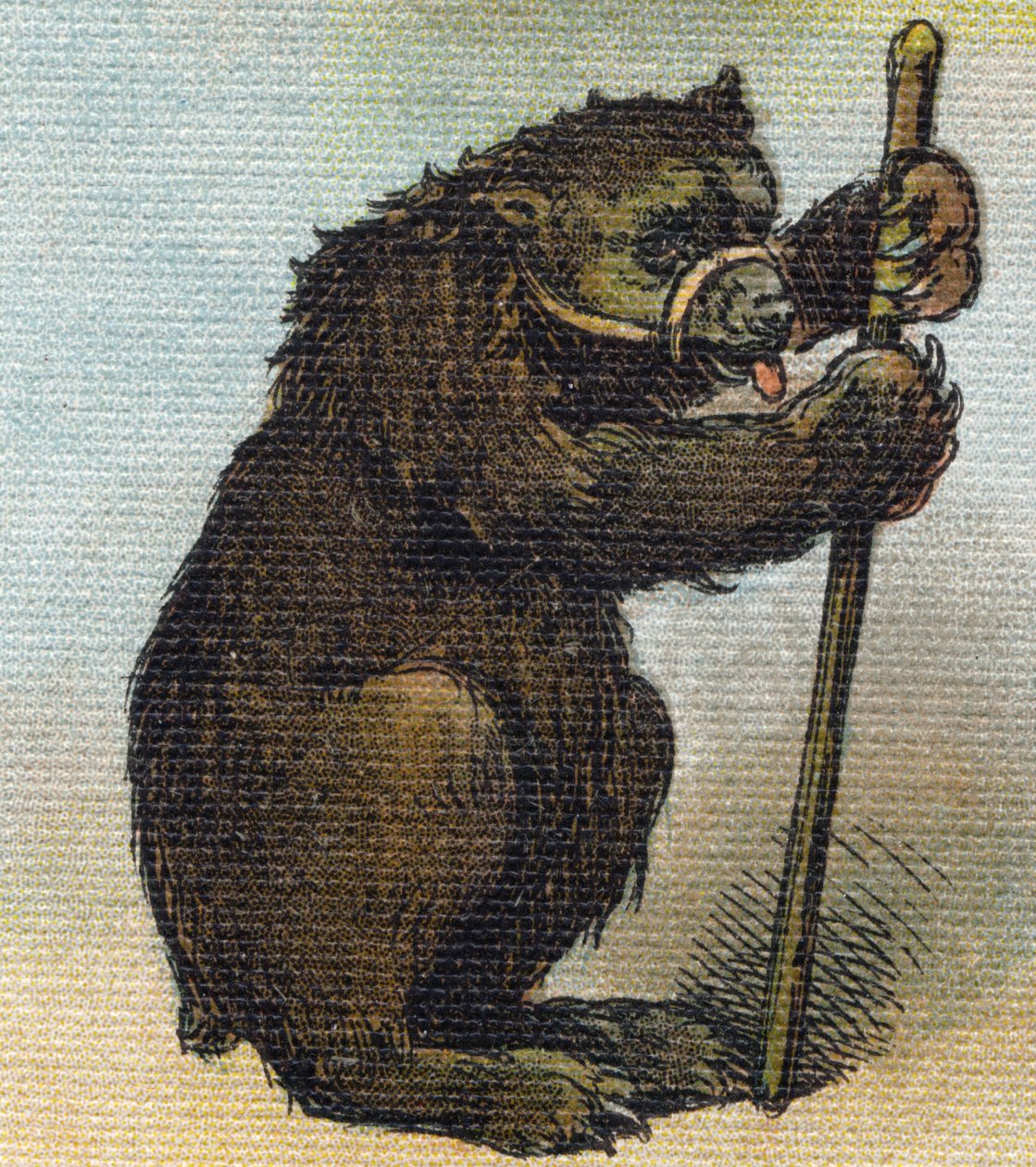 Medve. Metszet "Alphabet de ma petite fille". Bernardin-Bechet és Fils, könyvkereskedő-kiadók, Párizs, 1895 körül. Törhetetlen album vásznon. Bibliotheque des Bebes. 12 oldal. Olvasási módszert és szemléltető abeccedert tartalmazó album. Mérete: 29, alkotó: Unbekannt