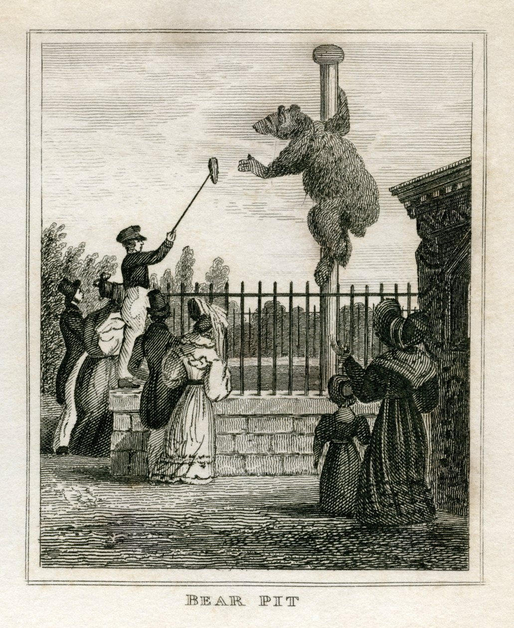 Medvegödör - Regent