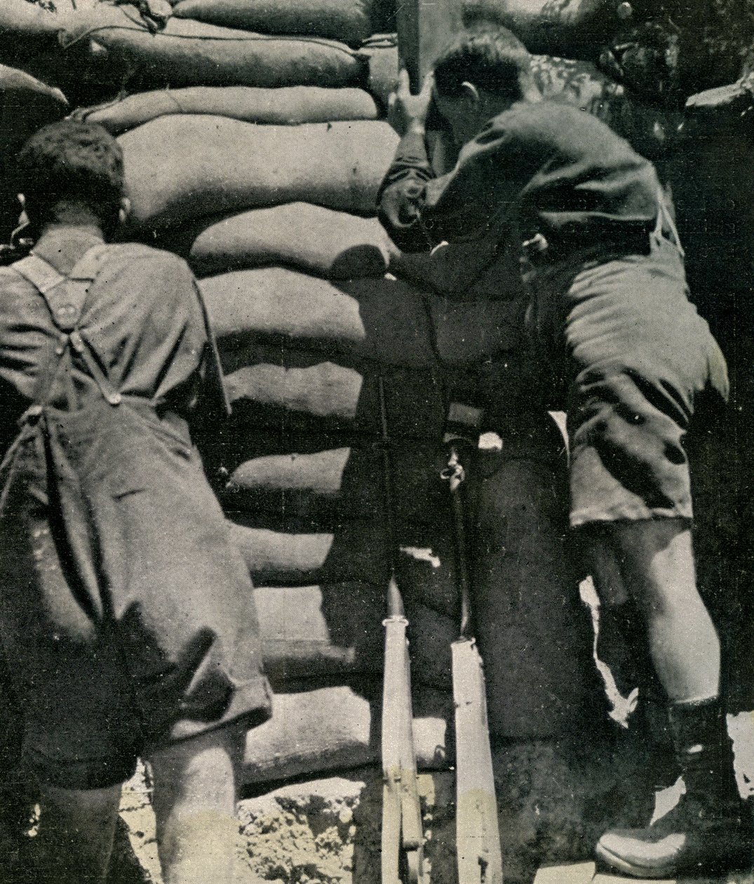 Brit csapatok khaki-drill rövidnadrágban harcolnak, a Gallipoli-félszigeten alkotó: Unbekannt