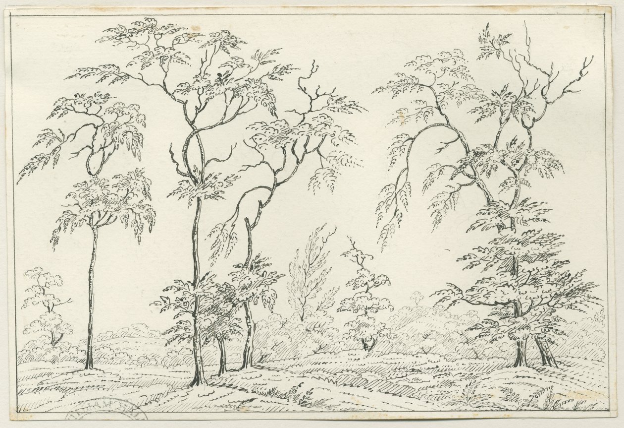 Cannock Chase: toll- és ceruzarajz, nd [?19. század] alkotó: Unbekannt