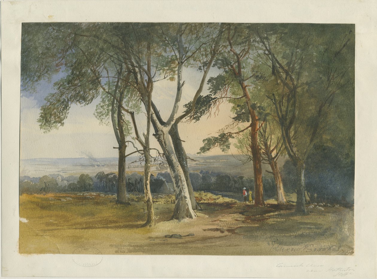 Cannock Chase: vízfestmény, 1848 alkotó: Unbekannt