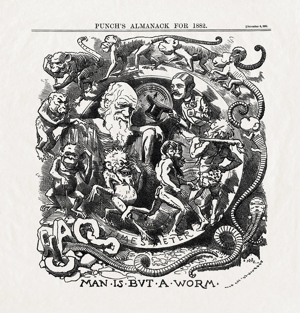 Charles Darwin (1809-1882) karikatúrája az evolúció elméletéről: "Az ember nem más, mint egy féreg" (Man is but a worm) a "Punch"-ból 1881.12.06. alkotó: Unbekannter Künstler