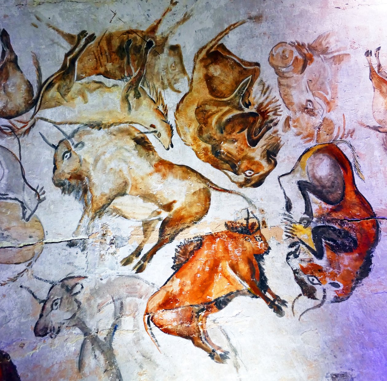 Barlangfestményeket találtak az Altamira-barlangban (fotó) alkotó: Unbekannter Künstler