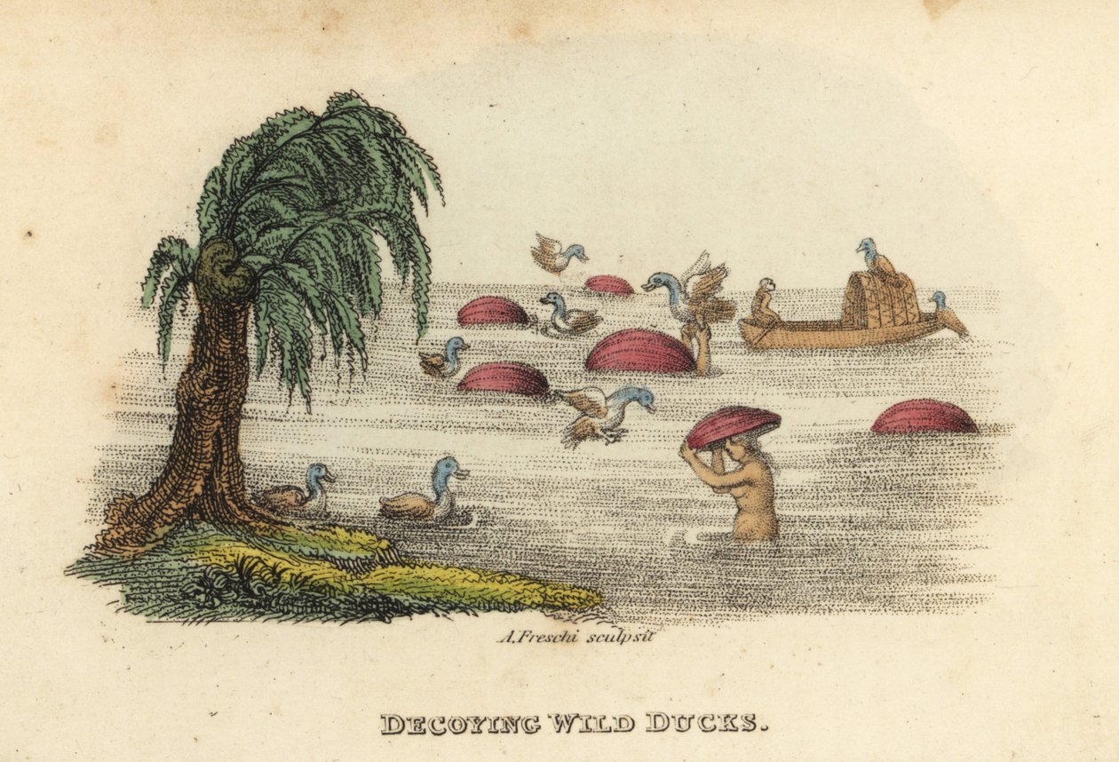 Kínai férfiak vadkacsára vadásznak a folyóban, csali tökkal a fejükön, Qing-dinasztia. Andrea Freschi kézi rézmetszete Antoine Cardon után, Henri-Leonard-Jean-Baptiste Bertin és Jean Baptiste Joseph Breton: Kína, viseletei, művészete című művéből, alkotó: Unbekannter Künstler