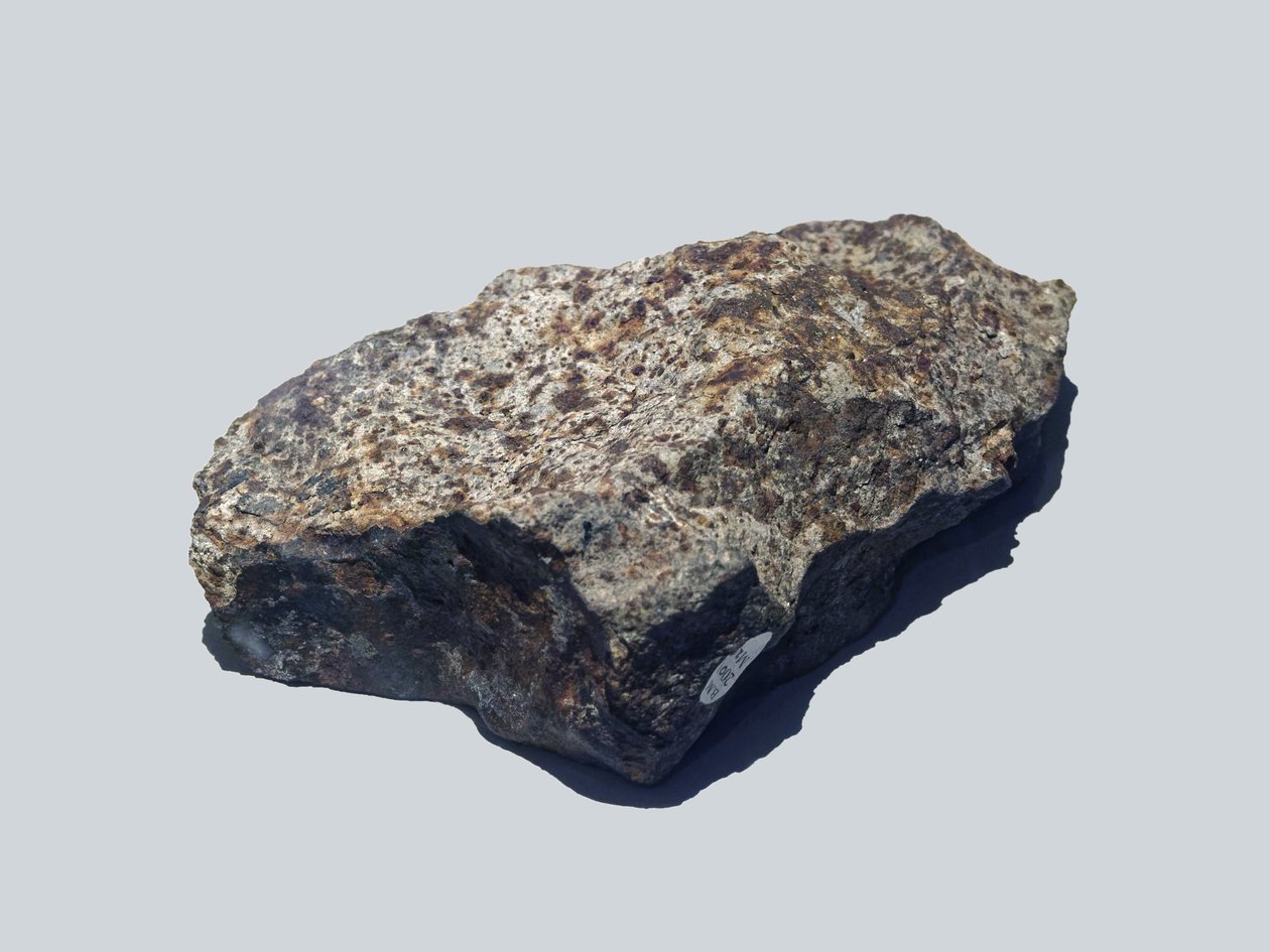 Chondrite Ordinary (L5). Tombe en Valera (Venezuela) 1972-ben. Természettudományi Múzeum, London. alkotó: Unbekannt