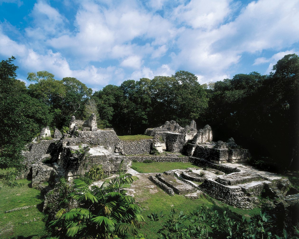 Kolumbusz előtti civilizáció: Uaxactun maja lelőhelyének képe (A csoport). Petén, Guatemala. alkotó: 