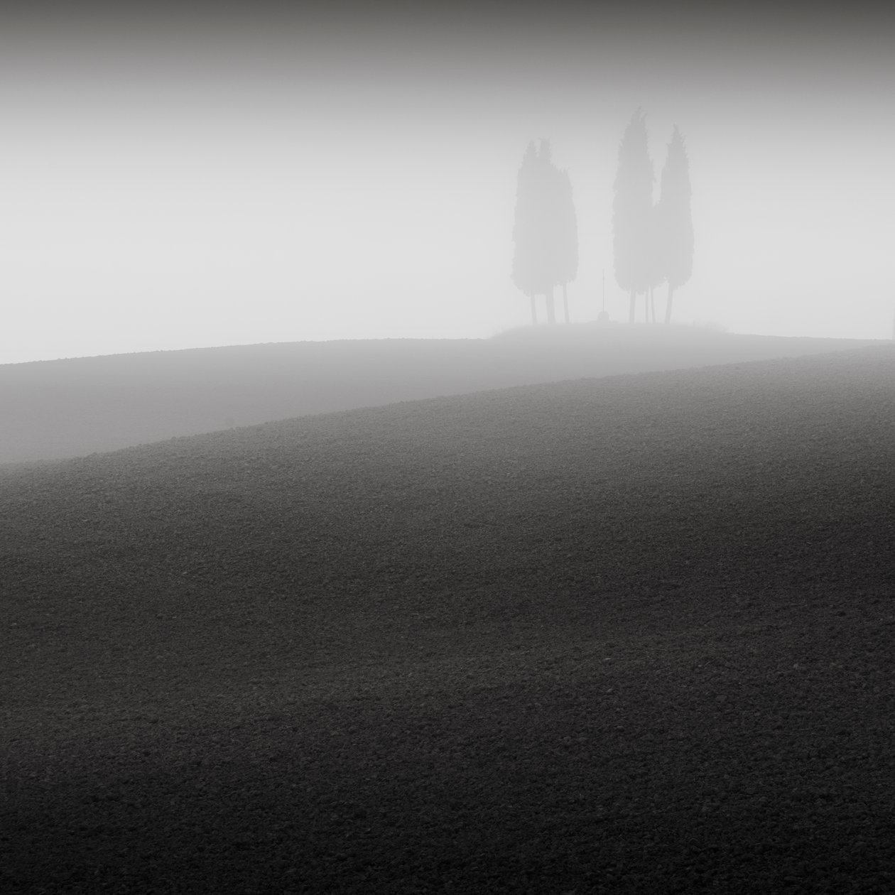 Konferencia, Toszkána, Olaszország, 2015 (f/w fotó) alkotó: Leopold Blonder