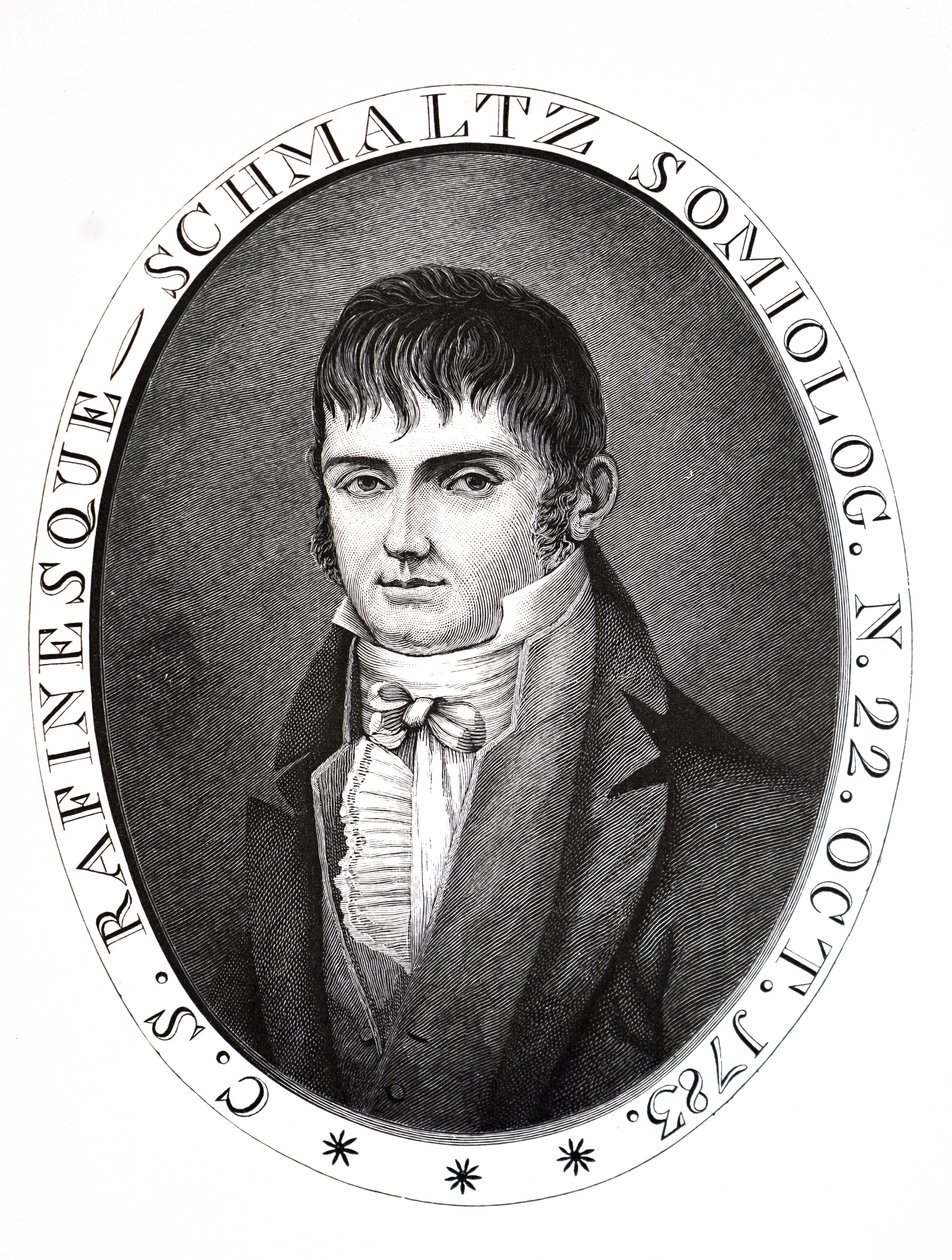 Constantine Samuel Felder. alkotó: Unbekannt