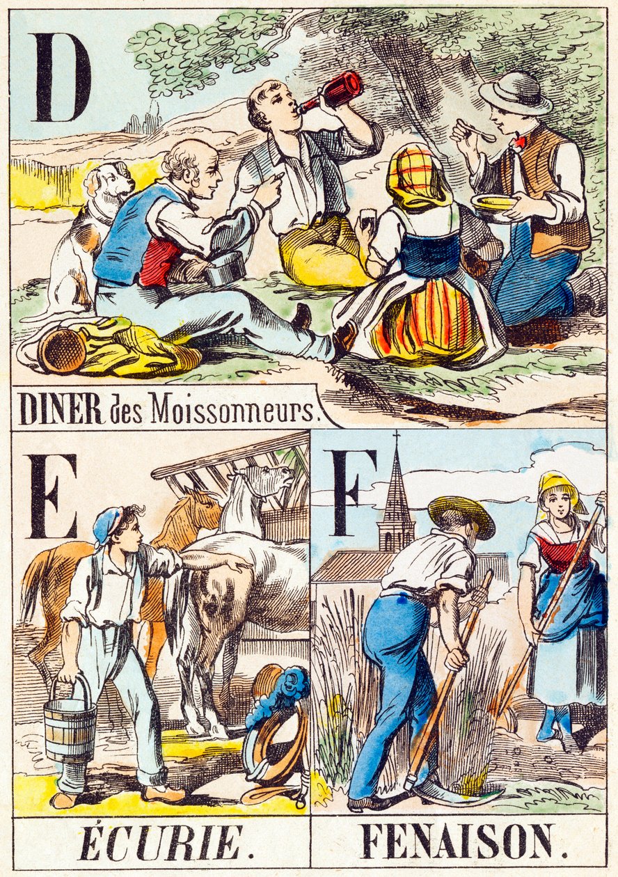 D E F: Diner des Moissonneurs, Ecurie, Fenaison - "A farm ábécéje" 19. század vége (metszet) alkotó: Unbekannt