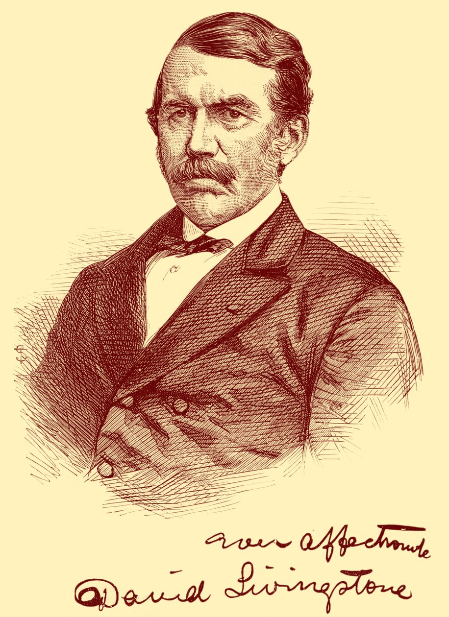 David Livingstone alkotó: Unbekannter Künstler