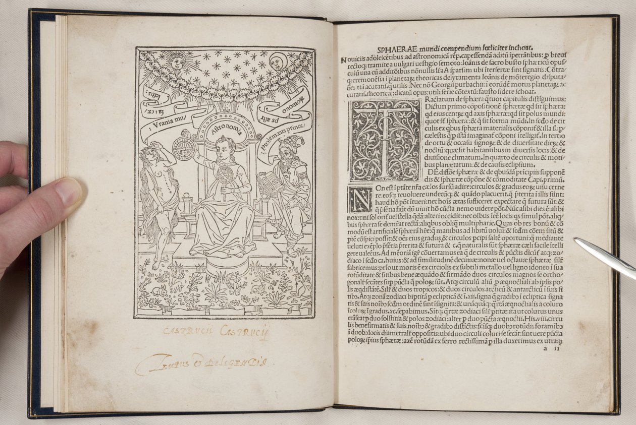 A világ gömbje – Joannes de Sacro Bosco (fl.1230) alkotó: Unbekannt