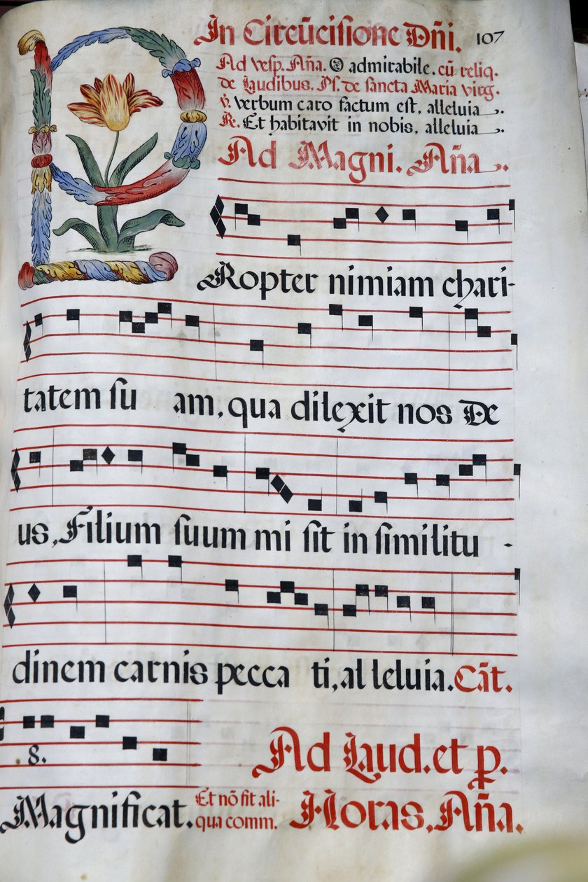 A Domus Galilaeae-t vagy a Galileai Házat a Katolikus Szervezet, a Neokatekumenális Út, az Antiphonary, a Jézus körülmetélése, a Boldogság hegye, Izrael működteti. alkotó: Unbekannt