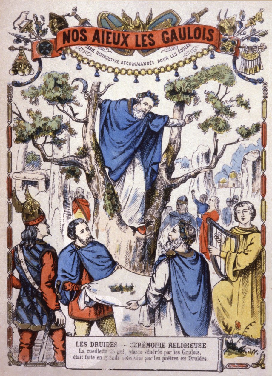 Druidák fagyöngyöt szednek, 1900 körül (illusztráció) alkotó: Unbekannter Künstler
