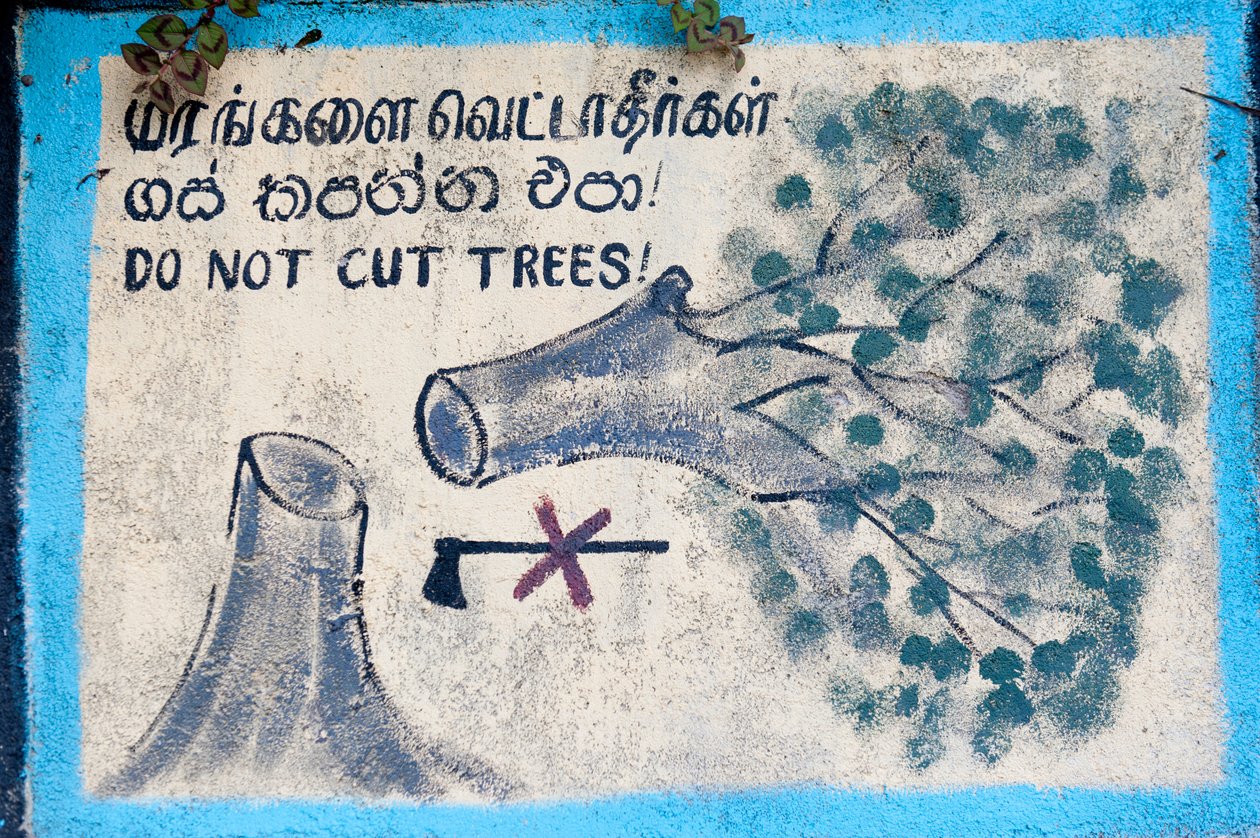 Környezetvédelem; festett jel; „”” Ne vágj fát””””” kivágott fát és áthúzott fejszét ábrázol; Nuwara Eliya; Sri Lanka; Ázsia alkotó: Unbekannt