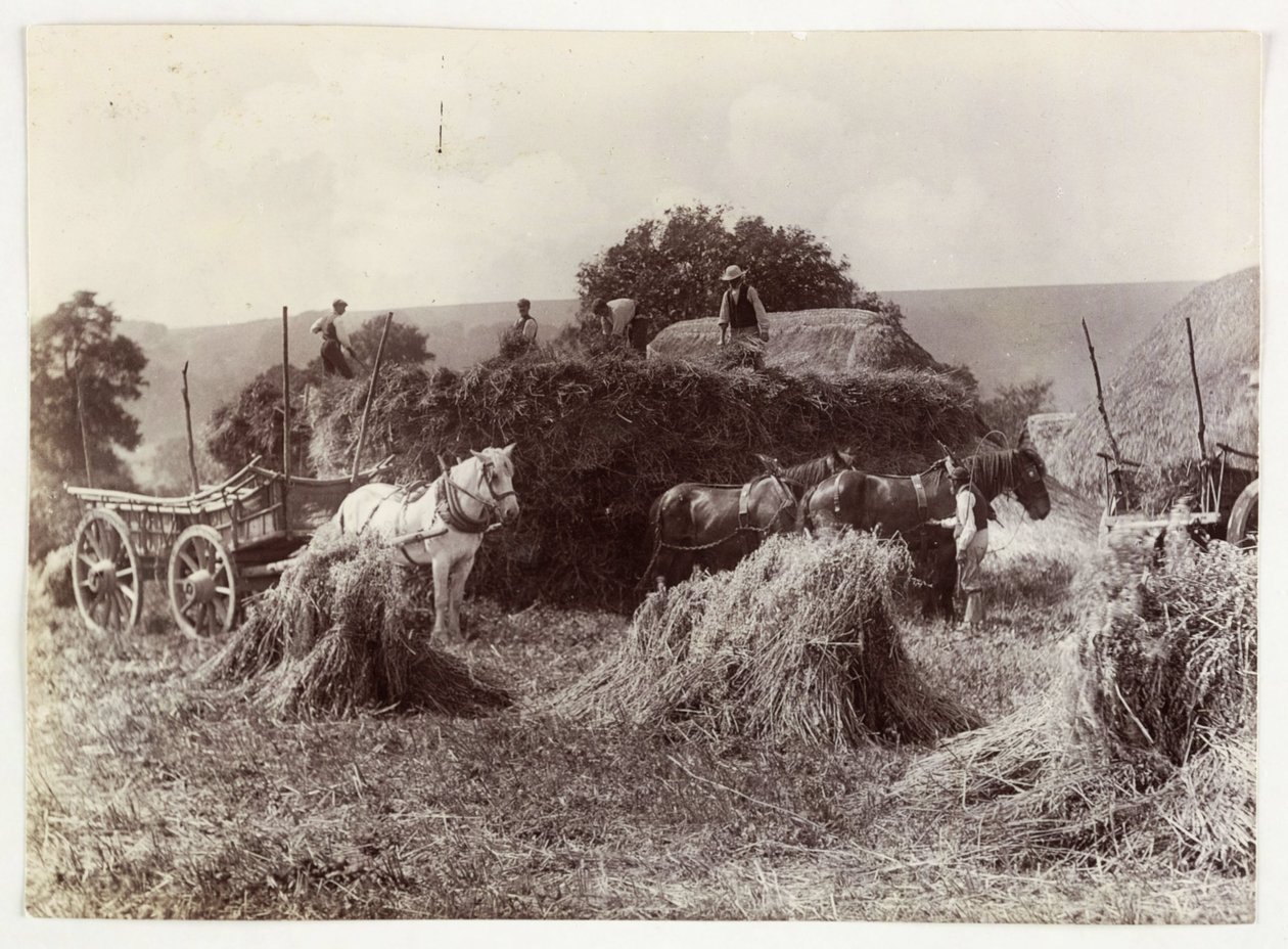 Gazdálkodási jelenetek, betakarítás és tárolás, 1900 előtti betakarítás, c 1890 alkotó: Unbekannt