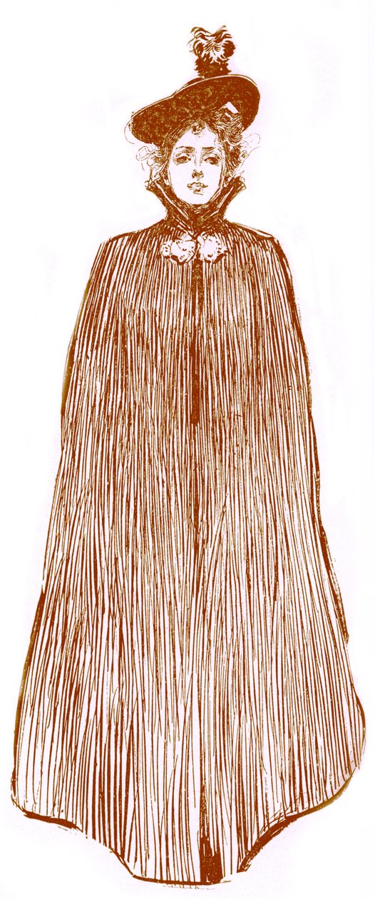 Fashion for American wo man in late 19th century alkotó: Unbekannter Künstler
