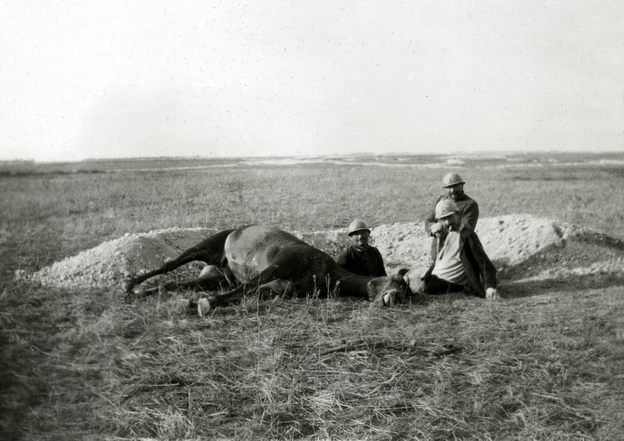 Első világháború 14-18 (1914-1918): három francia katona eltemet egy halott lovat - fénykép üveglapon - alkotó: Unbekannter Künstler