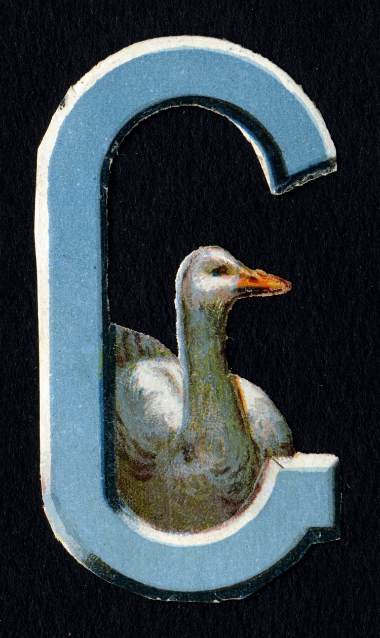 G, mint a Goose. Bogár decoupis állatok témában. Metszés. 26 angol eredetű gofri kromolitográfiát tartalmazó sorozat. Szerkesztő és illusztrátor ismeretlen. század vége. Mérete: 5,5x3,5 cm alkotó: Unbekannt