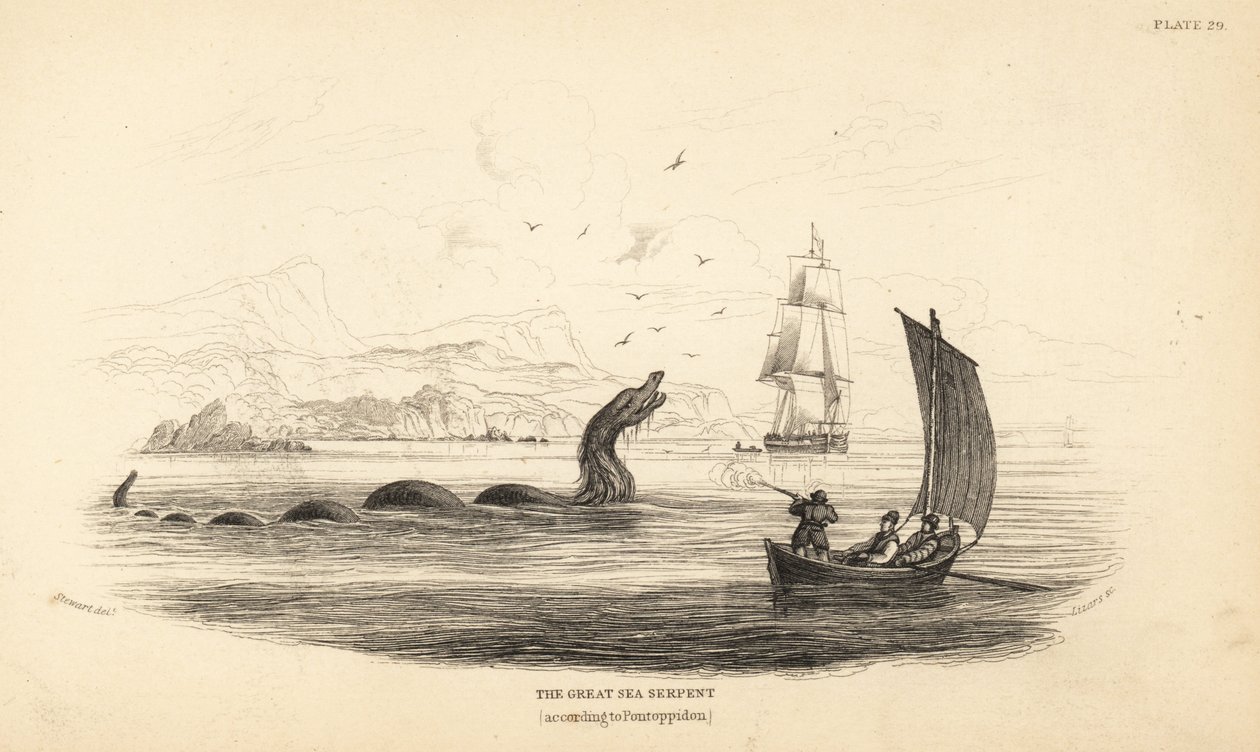 A Lawrence by Ferry legénysége által 1746-ban lelőtt nagy tengeri kígyó. Leírva Erik Pontoppidan püspök Norvégia természetrajza című művében. alkotó: Unbekannter Künstler