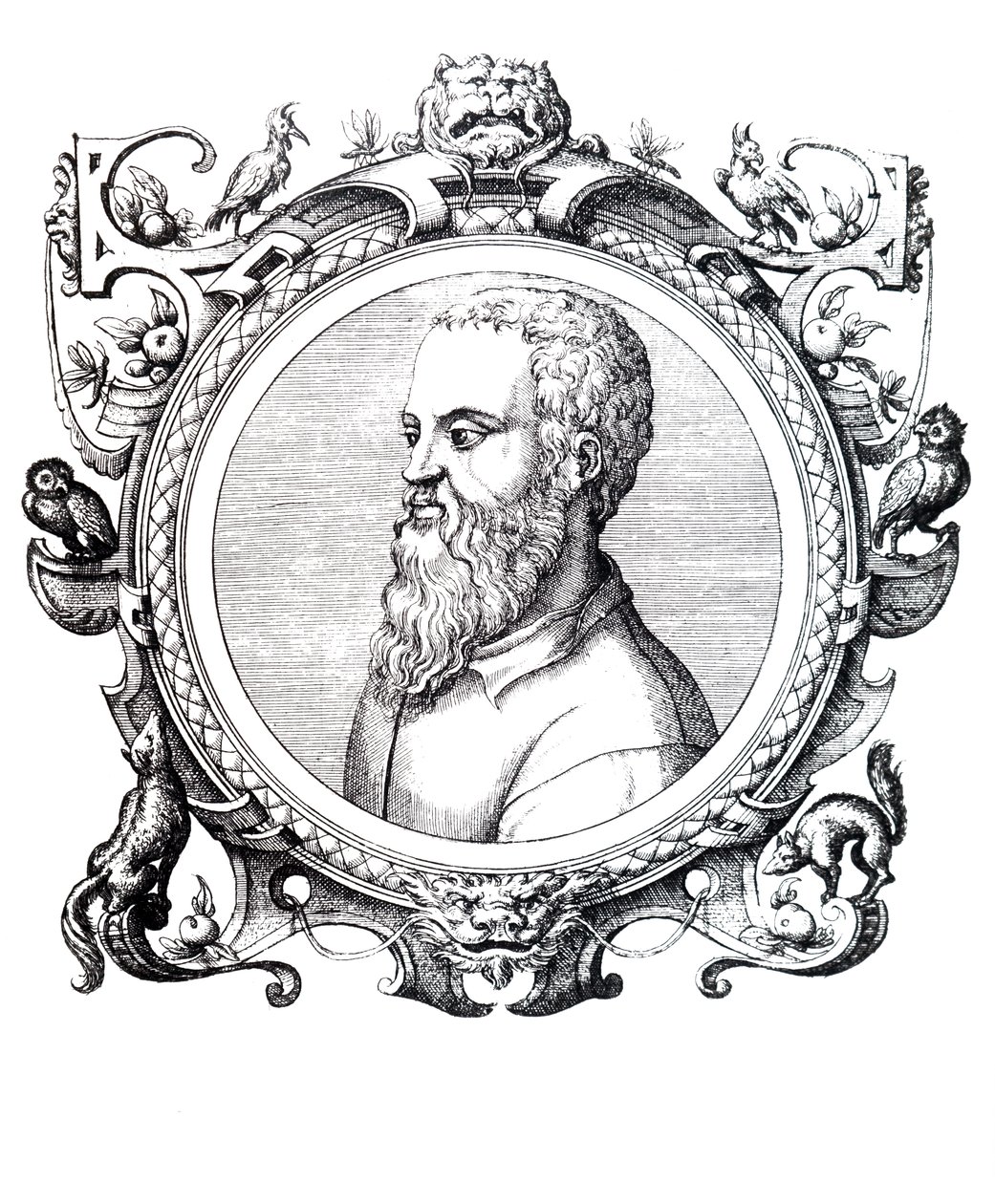 Guillaume Rondelet. alkotó: Unbekannt