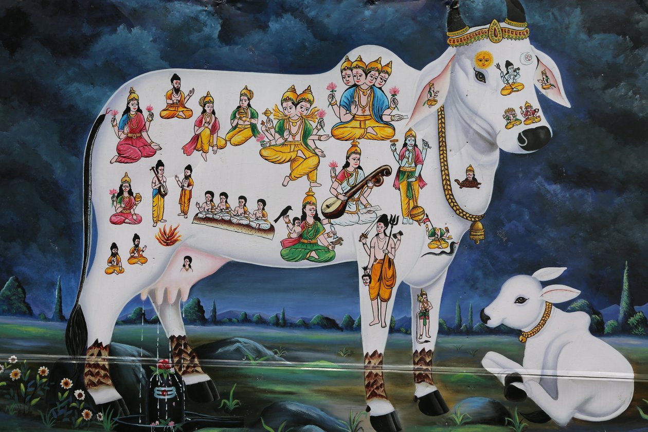 Hindu festészet. Szent tehén és borjú. India alkotó: Unbekannt