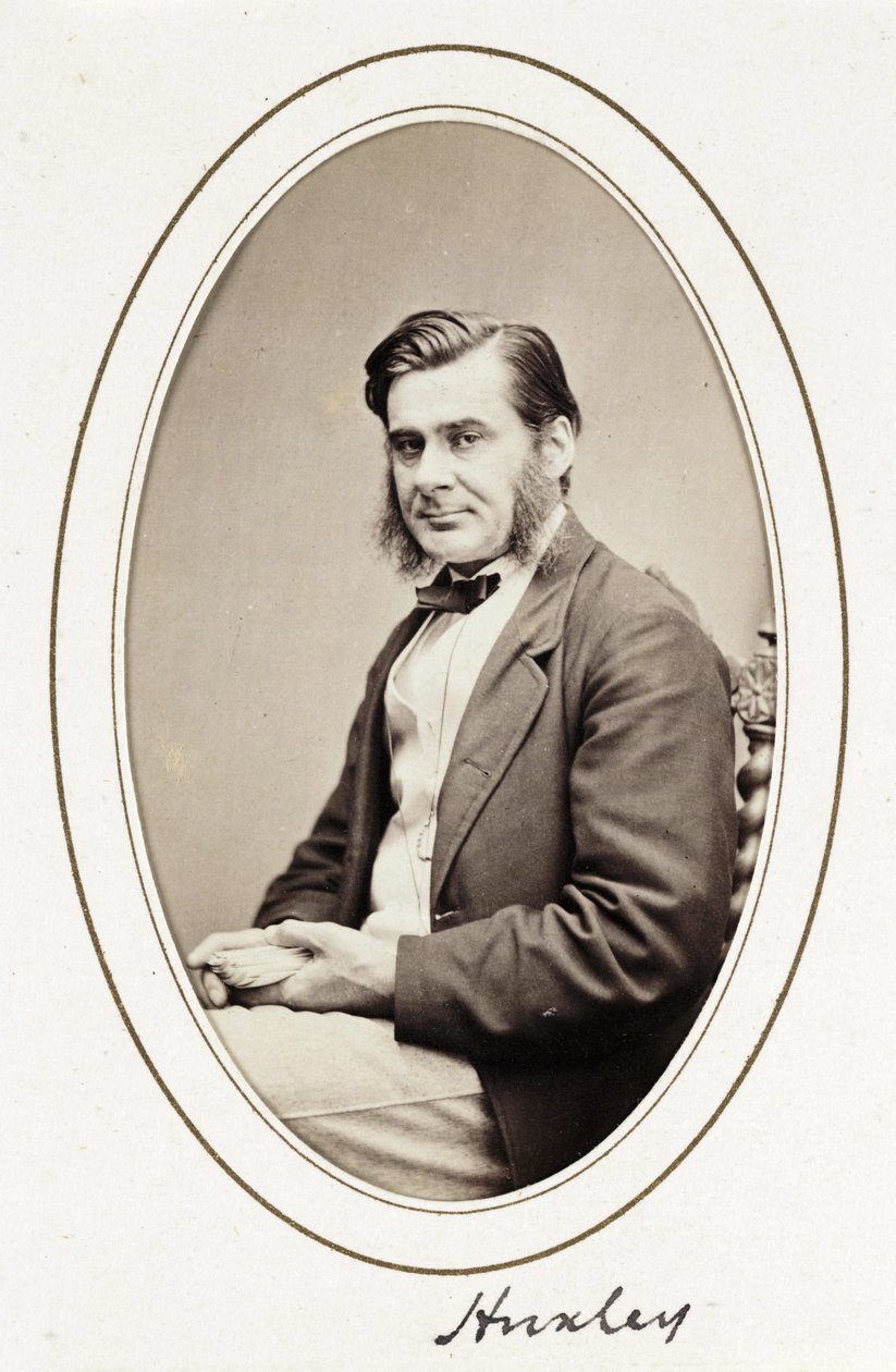 Huxley, 1865 alkotó: Unbekannt