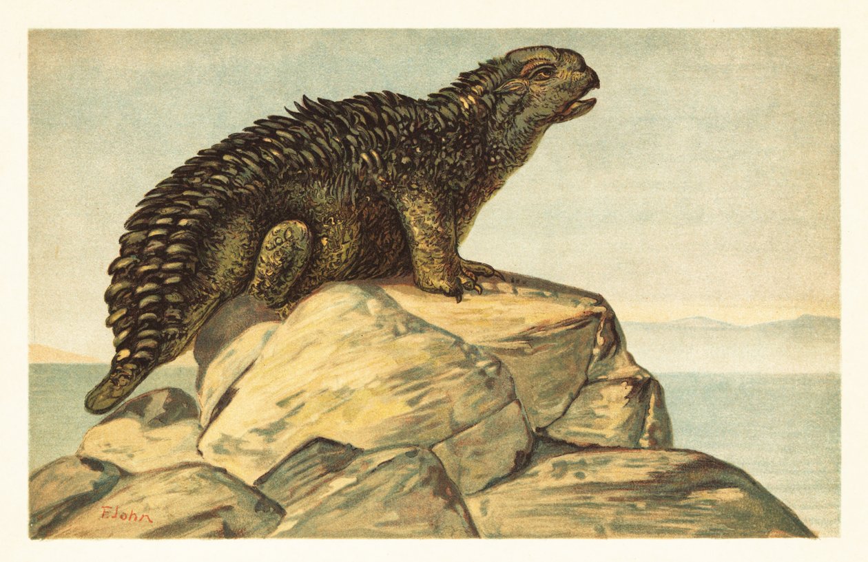 Hylaeosaurus armatus, kihalt növényevő ankylosaurus dinoszaurusz1908 (litográfia) alkotó: Unbekannter Künstler