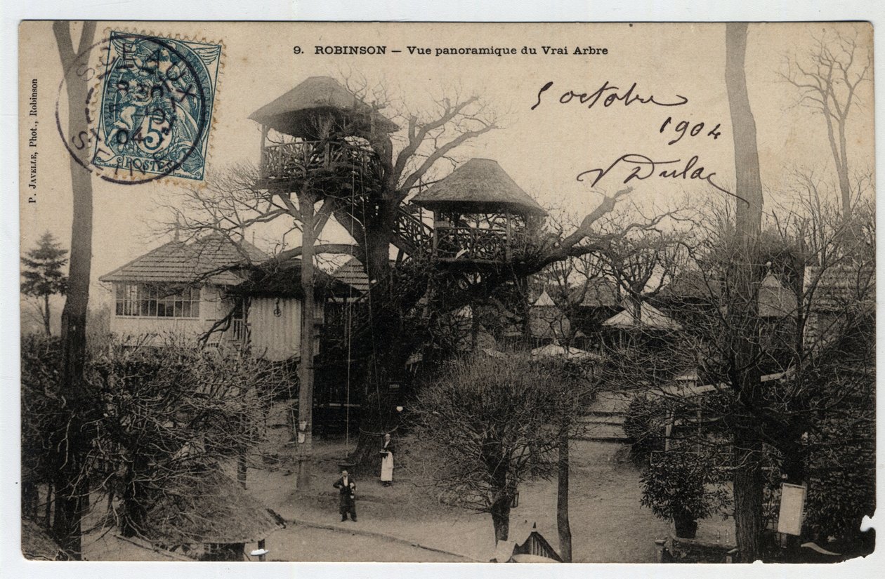 Ile de France, Hauts de Seine (92), Le Plessis Robinson (Le Plessis-Robinson): panorámás kilátás a „True Arbre”-ra, egy gesztenye tetejére szerelt gunguette-re - 1904-es levelezőlap alkotó: Unknown